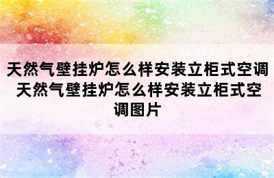 天然气壁挂炉怎么样安装立柜式空调 天然气壁挂炉怎么样安装立柜式空调图片